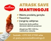MANTINGA siūlo darbą